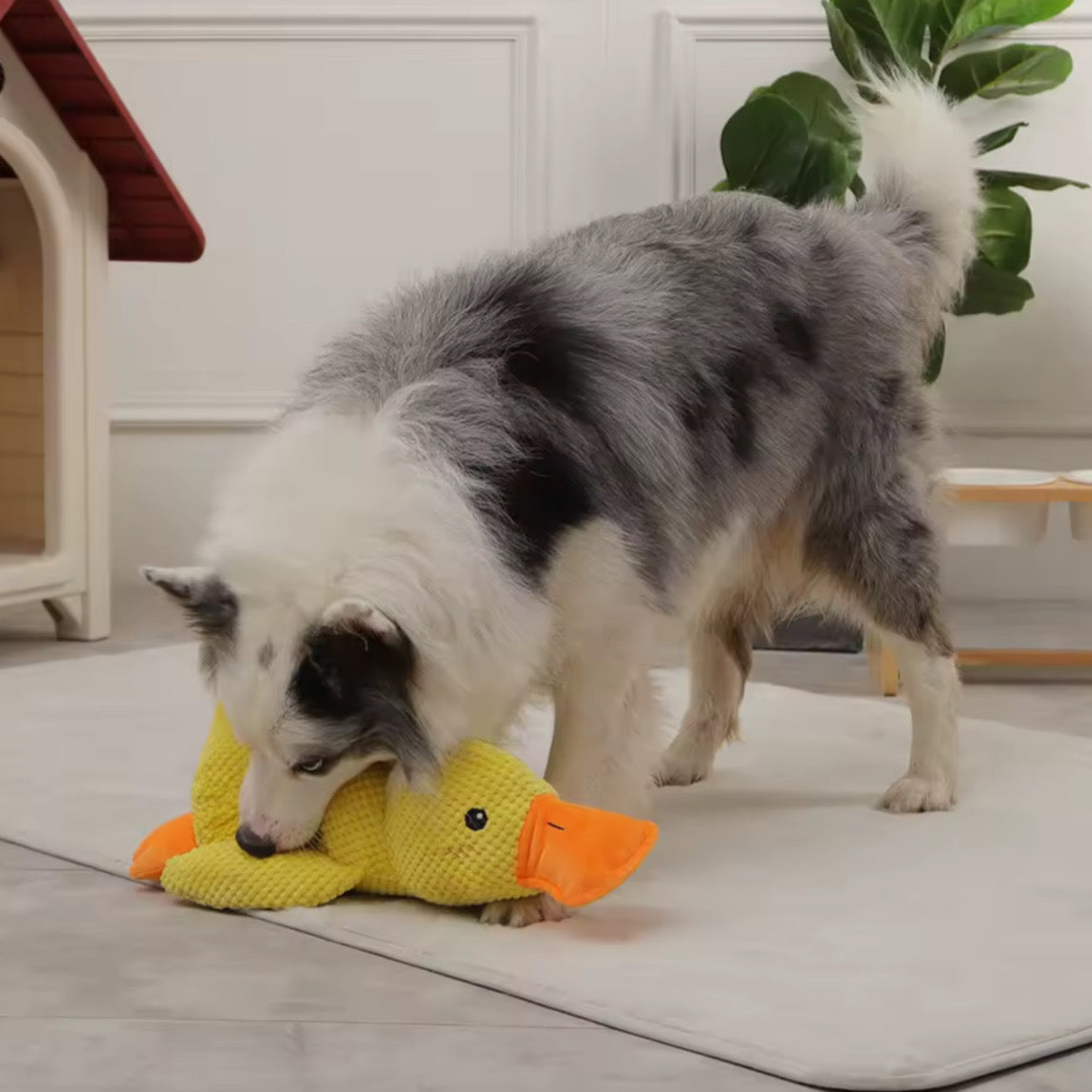 Plüsch-Schlafente Hundespielzeug